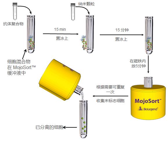 MojoSort 陰性選擇細(xì)胞分離步驟.jpg