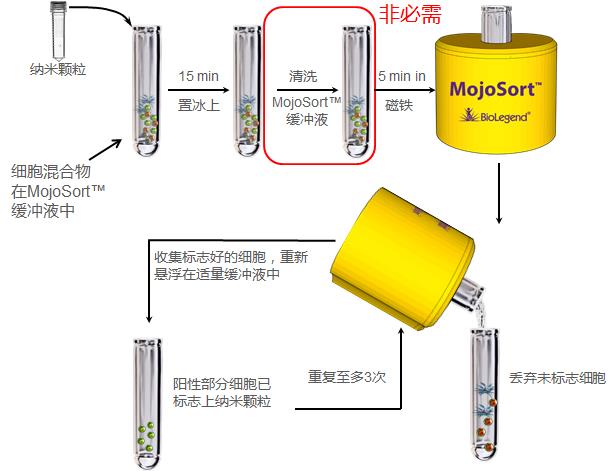 MojoSort 陽(yáng)性選擇細(xì)胞分離步驟.jpg